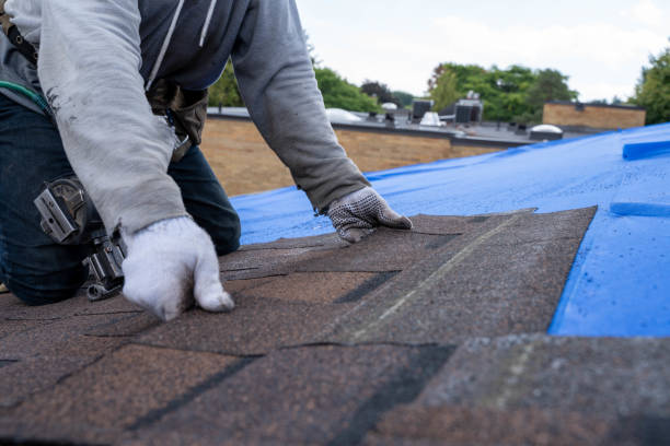 Best Flat Roof Repair Services  in Avoca, PA